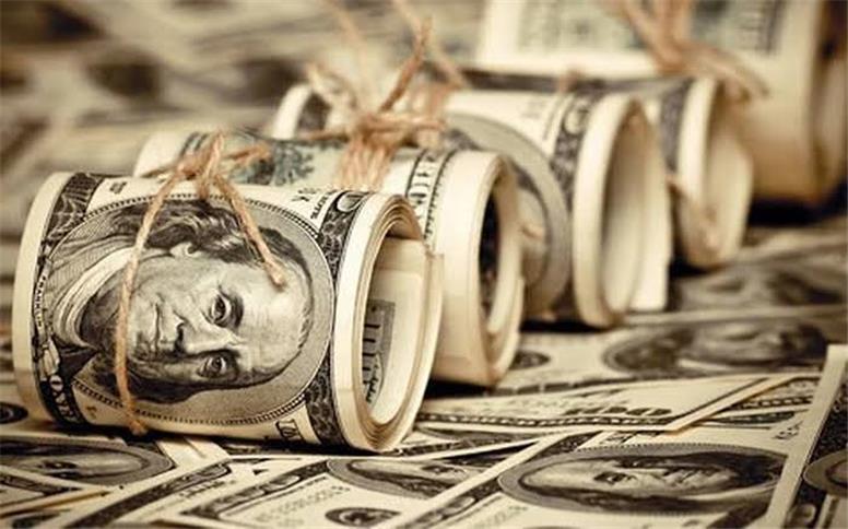 ارزهای خانگی با اعتماد‌زایی دولت وارد بخش های مولد می‌شوند