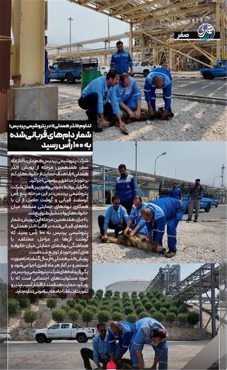 تداوم «نذر همدلی» در پتروشیمی پردیس؛ شمار دام‌های قربانی‌شده به ۱۰۰ رأس رسید