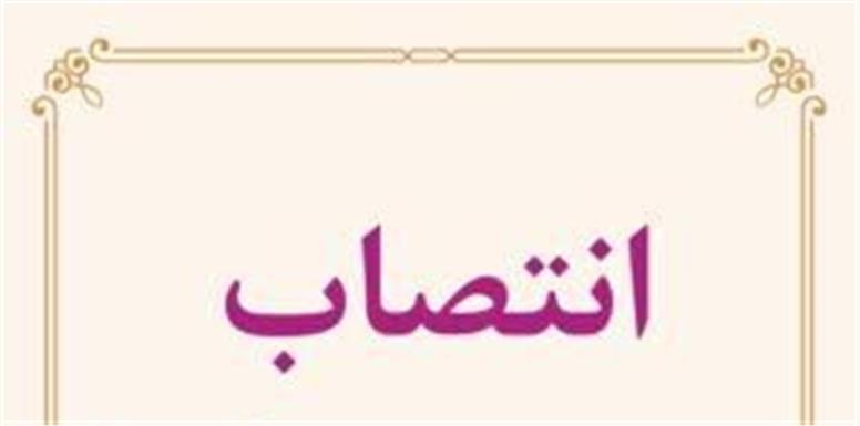 تأکید مدیرعامل بر نقش راهبردی «بازرسی» در افزایش رضایت و اعتماد ذی‌نفعان