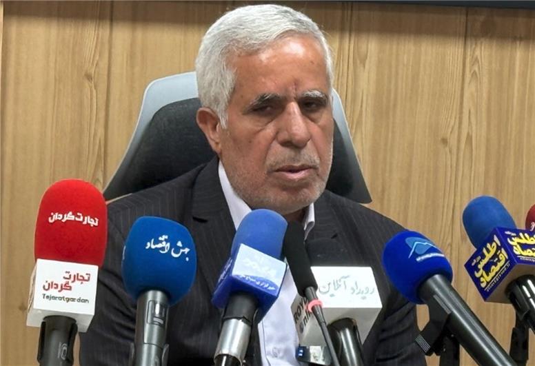 ایران پنجمین کشور ثروتمند جهان از نظر ذخایر معدنی است / مساحت مناطق درگیر فرونشست در کشور ده برابر شده است / هفت درصد ذخایر معدنی جهان در اختیار ایران است