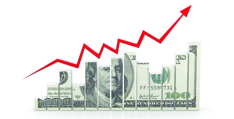 افزایش آسیب‌پذیری اقتصاد از شوک های ارزی