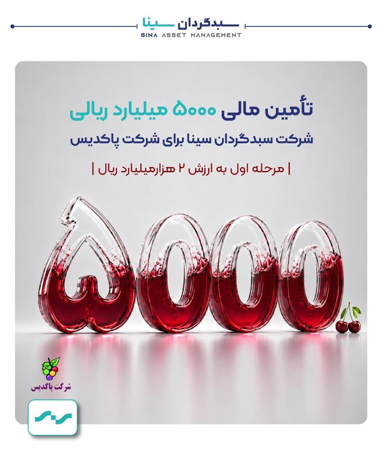 تأمین مالی ۵ هزار میلیارد ریالی برای شرکت پاکدیس
