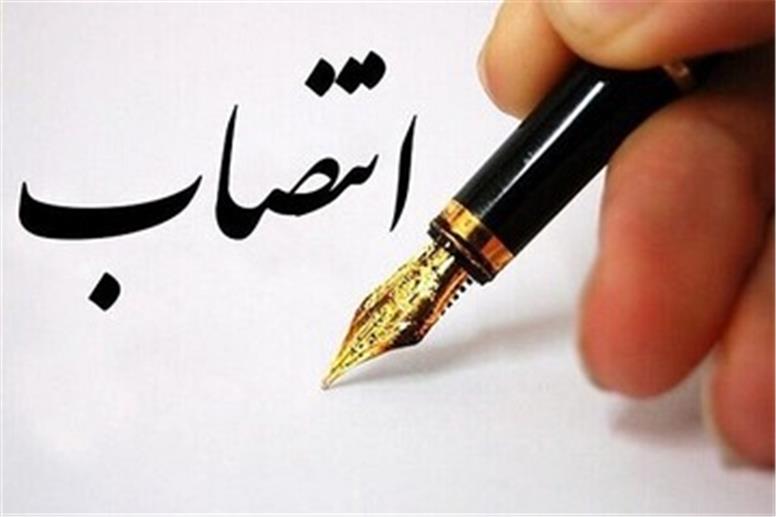 انتصاب مدیران جدید شعب بیمه ایران