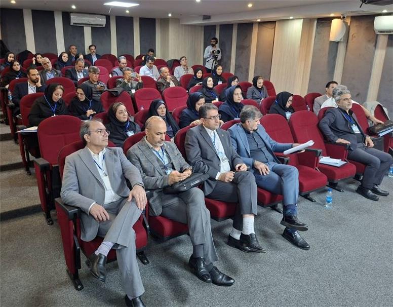همایش دانش‌افزایی طرح جدید بیمه مستمری همای ایران برگزار شد
