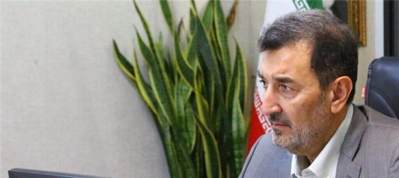 تأکید سمیعی‌نژاد بر تسریع در انجام تکالیف قانونی ایمیدرو در برنامه هفتم