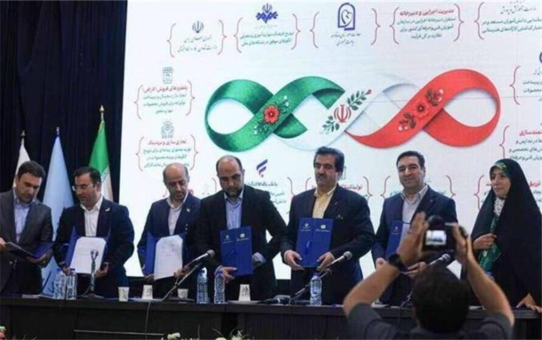 مشارکت بانک توسعه تعاون در حمایت از کسب‌وکارهای مهارت‌محور
