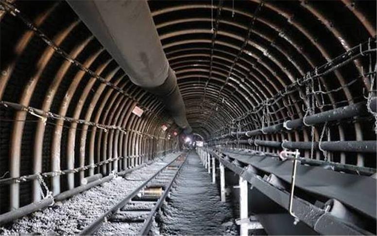 سمیعی‌نژاد: بخش ایمنی طرح جامع زغال‌سنگ بازنگری می شود