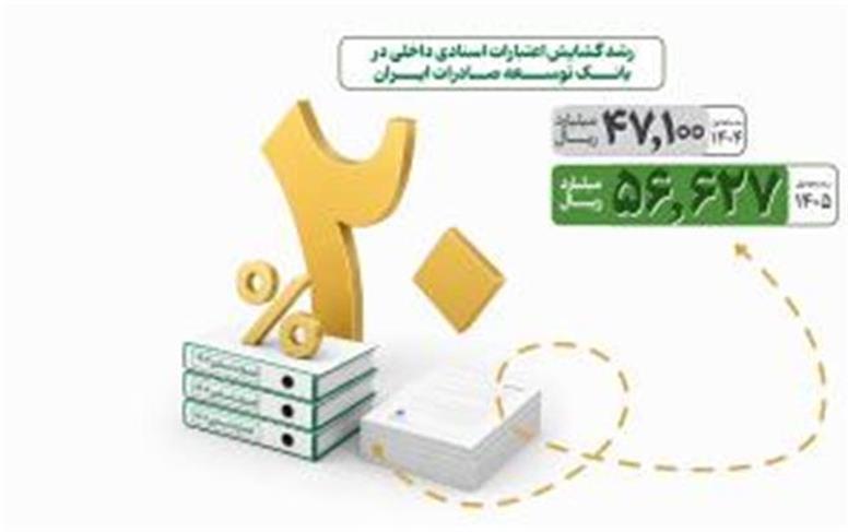 افزایش حمایت از بنگاه های تولیدی با رشد گشایش اعتبار اسنادی در بانک توسعه صادرات ایران